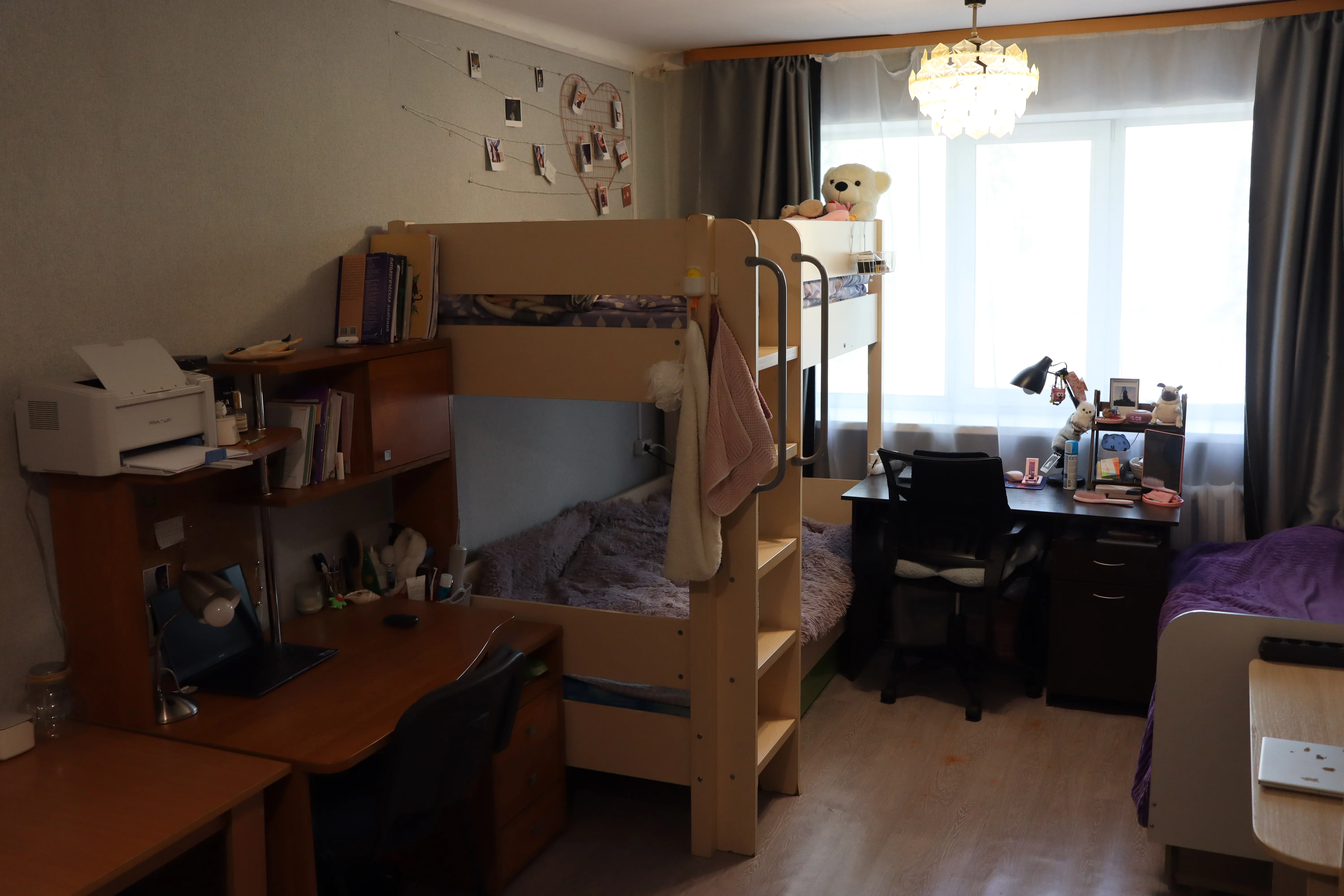 Cheapest government medical university in Russia 2026